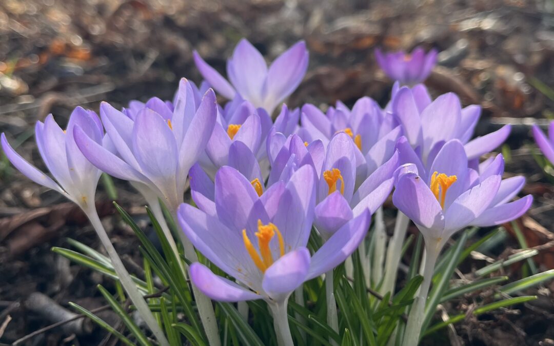 Studiedagarnas framtid – var med och diskutera