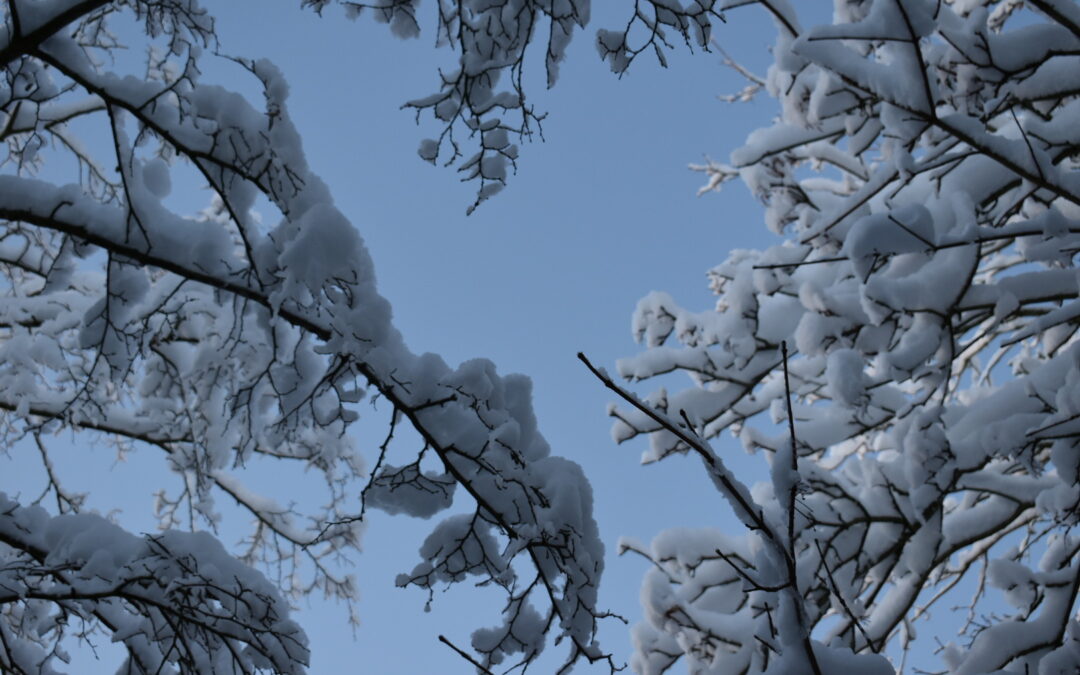 Någon som vill arrangera studiedagarna 2027? Styrelsen spånar för tillfället om möjligheten om att hitta en variant för studiedagar 2026